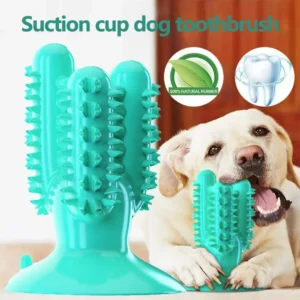 NEW Dog Toothbrush Toys for Dogs Interactive Toy Training IQ Teeth Cleaning Durable Small Medium Large Dog Puppy Chewing